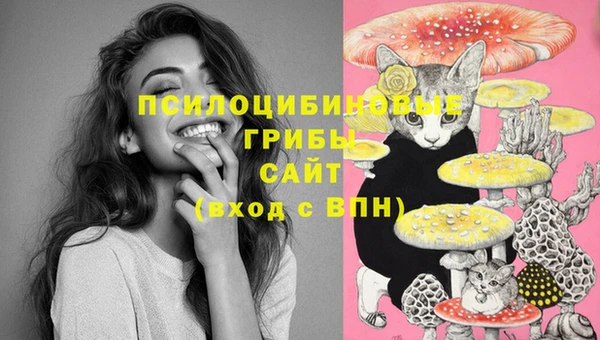 spice Абаза