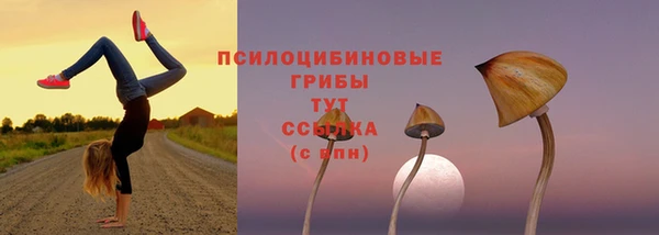 spice Абаза